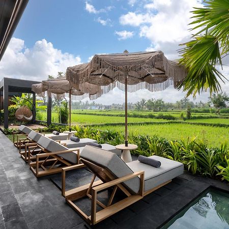 Villa Black Pearl By Balisuperhost Ubud Extérieur photo
