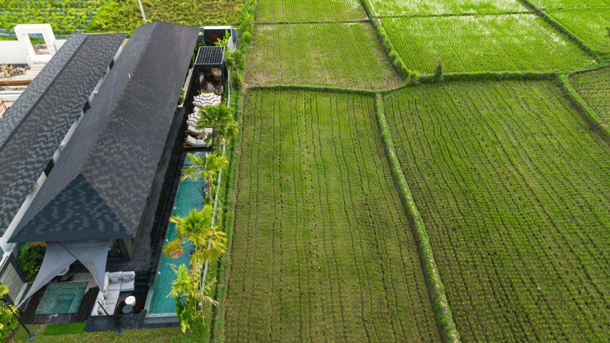 Villa Black Pearl By Balisuperhost Ubud Extérieur photo